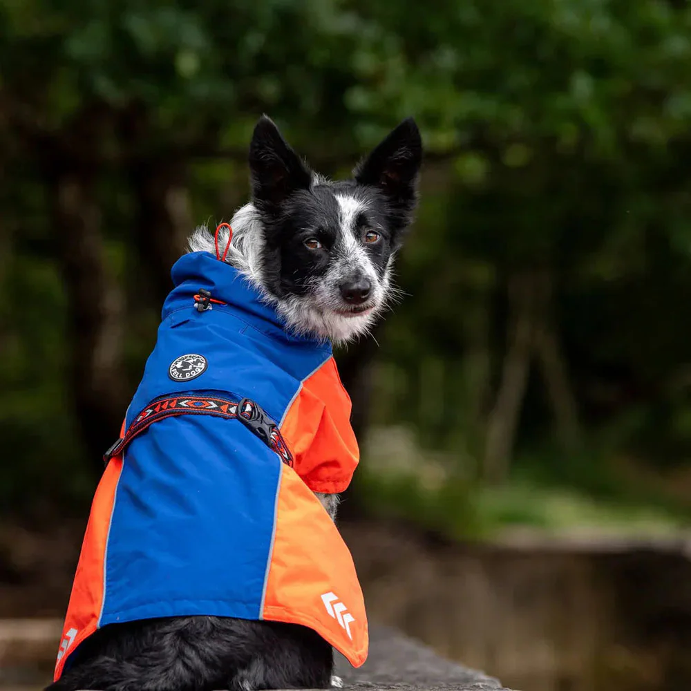 Black and white dog wearing a Drench waterproof dog jacket while sitting on rocky terrain outdoors.