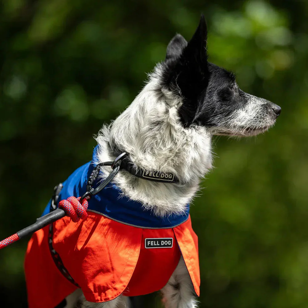 Black and white dog wearing a Drench waterproof dog jacket while sitting on rocky terrain outdoors.