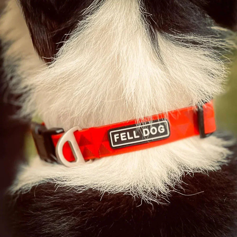 Fell Dog Drench Adjustable Dog Collar – Red Red Fell Dog Drench dog collar with geometric pattern, adjustable buckle, branded label and metal D-ring for lead attachment.