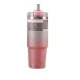 Stainless Steel Insulated Tumbler with Lid and Straw, 600ml