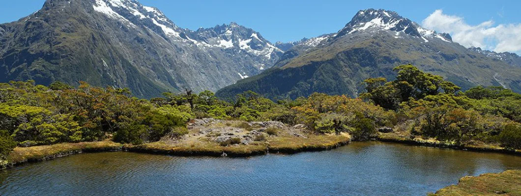 Routeburn Track for Beginners: A Step-by-Step Planning Guide Routeburn Track for Beginners: A Step-by-Step Planning Guide