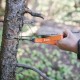 sol-pocket-chain-saw-trail-use SOL Pocket Chain Saw cutting through tree limb during bushcraft activity