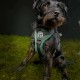 Fell Dog Helvellyn Harness Fell Dog Helvellyn Harness