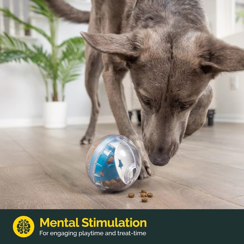 Interactive Slow Feeder Treat Ball for Dogs and Cats Yellow Interactive slow feeder treat dispensing ball toy in yellow and transparent finish designed for dogs and cats to promote puzzle play, treat rewards and slower eating habits
