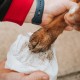 Nilaqua biodegradable pet wipes made from bamboo in 100 pack tub for gentle cleaning and pet hygiene