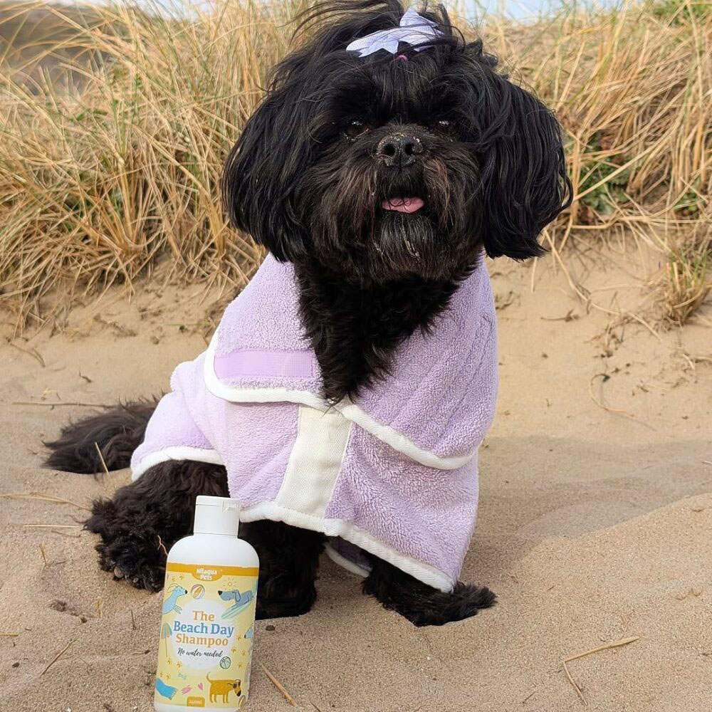 Nilaqua Pets Beach Day Dog Shampoo