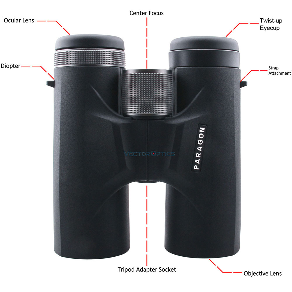 Vector Optics Paragon 8x42 Roof Prism Binoculars - 5 Groups 7 Lens, Silver Coated Prism, Fully Multi Coated Lens