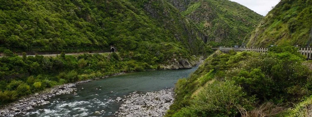 The Manawatū River A Vital Lifeline for New Zealand's Heartland